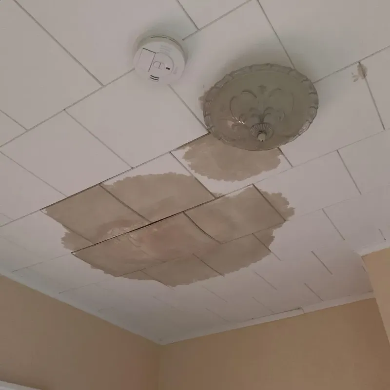 Ceiling Water Damage Repair in Normandy, MO