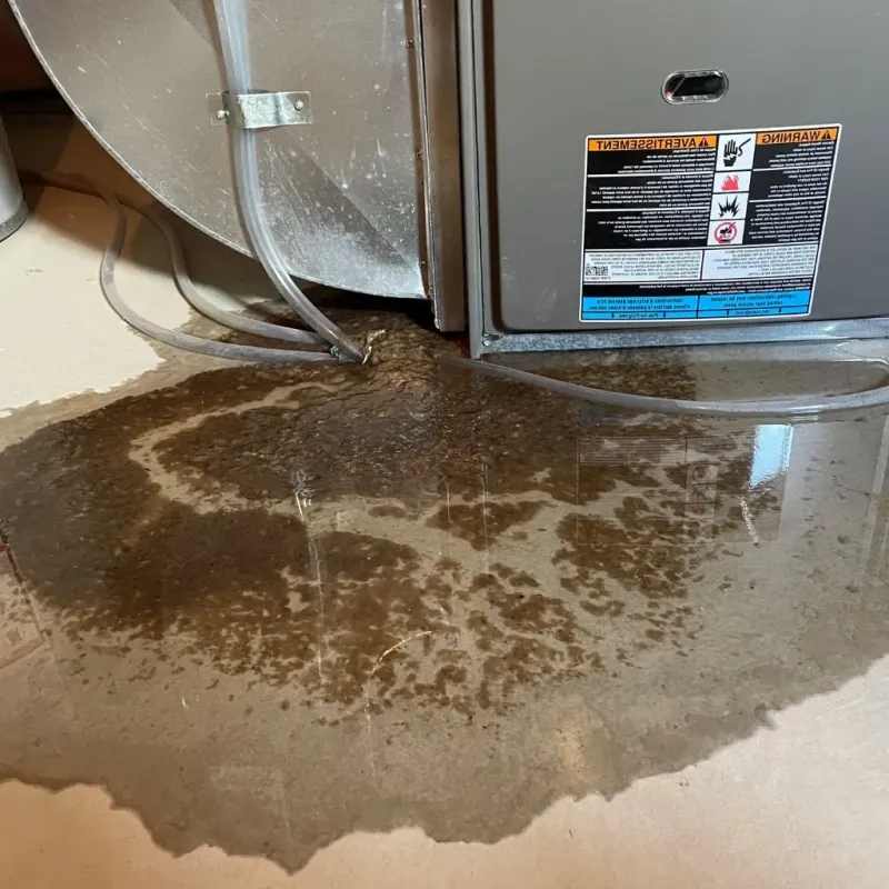 Pipe Burst and Leak Restoration in Normandy, MO