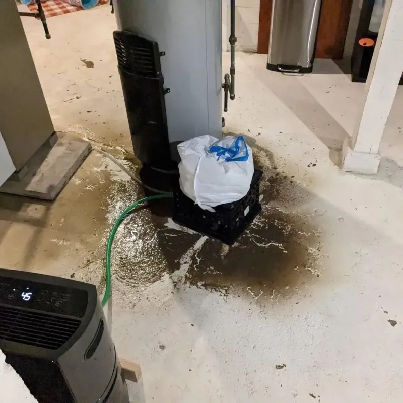 Sewage Backup Cleanup Service in Normandy, MO
